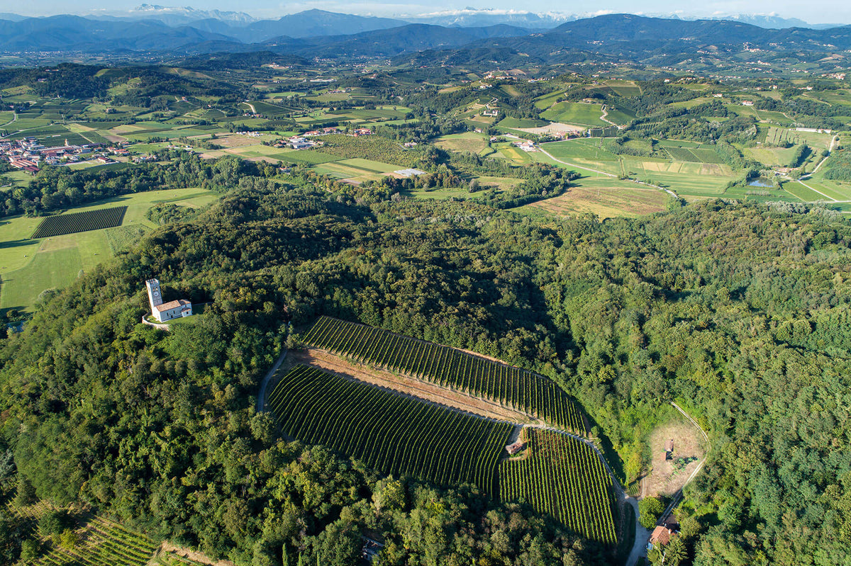 Cronta Enoteca