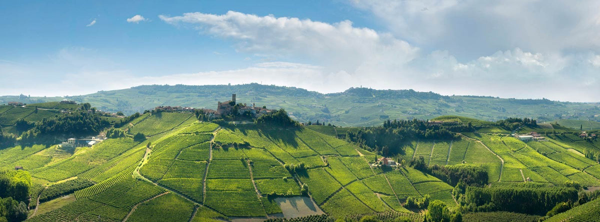 Cronta Enoteca