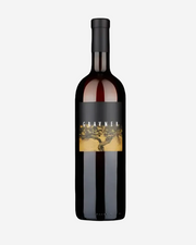 Gravner - Ribolla